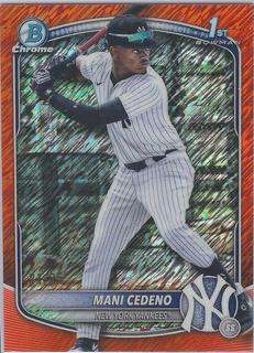 Mani Cedeno