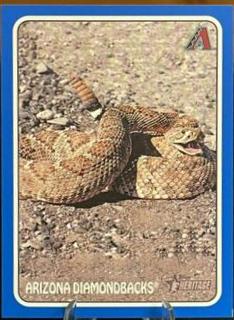 Arizona Diamondbacks