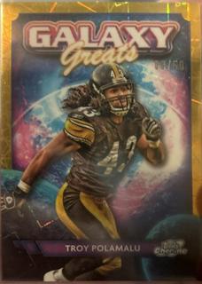 Troy Polamalu