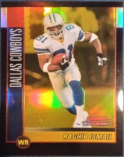 Raghib Ismail