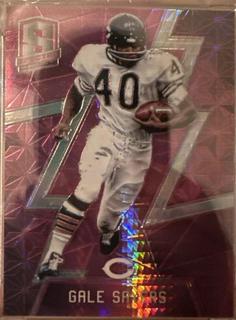 Gale Sayers