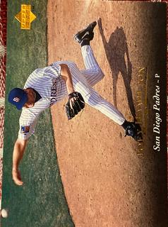 joey hamilton
