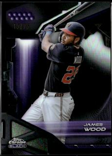 James Wood