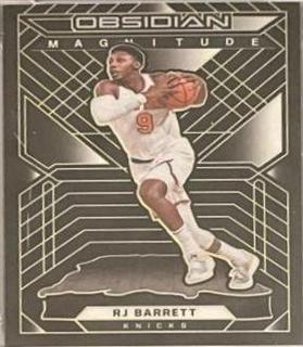 RJ Barrett