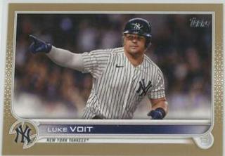 Luke Voit