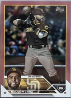 Nelson Cruz
