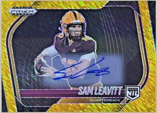Sam Leavitt