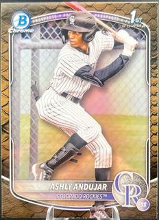 Ashly Andujar