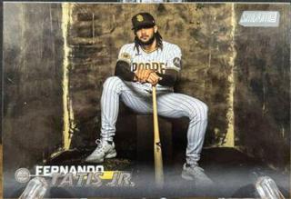 Fernando Tatis Jr.