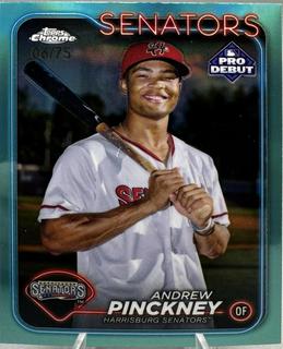 Andrew Pinckney
