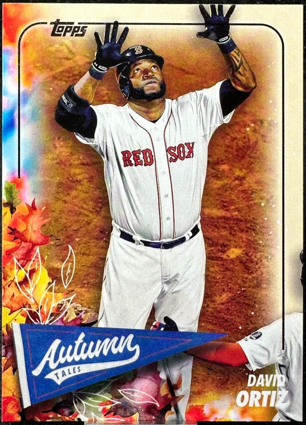 David Ortiz #AT-42