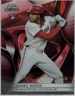 James Wood