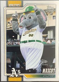 Mascot Athletics