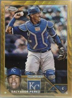 Salvador Perez