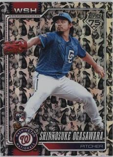 Shinnosuke Ogasawara