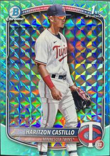 Haritzon Castillo