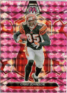 Chad Johnson