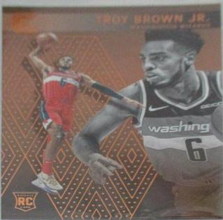 Troy Brown Jr.