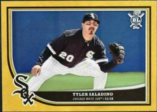 Tyler Saladino