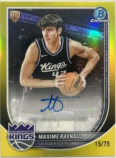 Maxime Raynaud