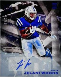 Jelani Woods