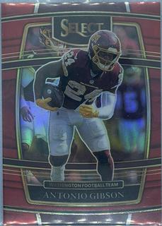 Antonio Gibson