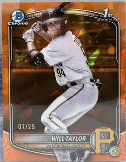 Will Taylor