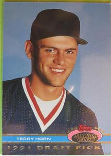 Terry Horn