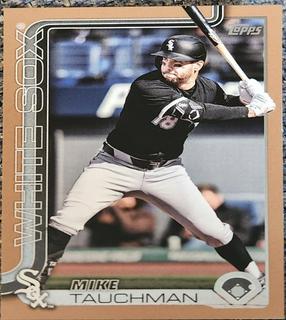 Mike Tauchman