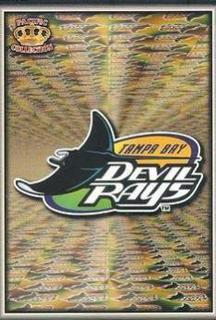 Tampa Bay Devil Rays