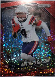 Antonio Gibson