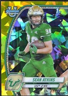 Sean Atkins