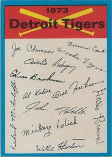Detroit Tigers