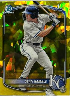 Sean Gamble