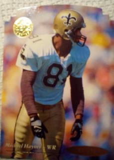 Michael haynes
