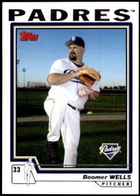 David Wells #491