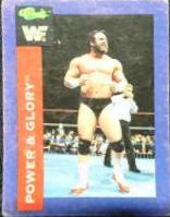 Power & Glory #14 Wrestling Cards 1991 Classic WWF
