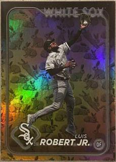 Luis Robert Jr.
