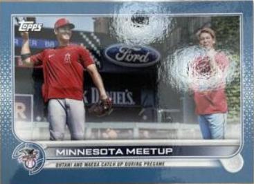 Minnesota Meetup [Mini Blue] #122