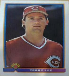 Terry Lee