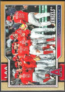Team Card