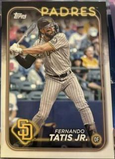 Fernando Tatis Jr.