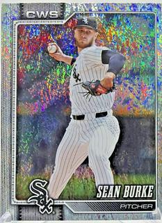 Sean Burke