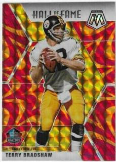 Terry Bradshaw