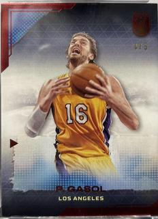 Pau Gasol