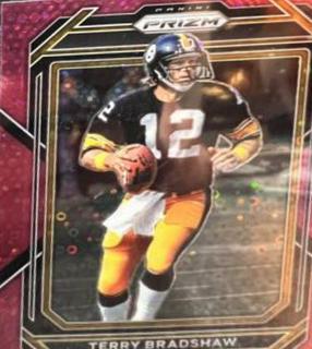 Terry Bradshaw