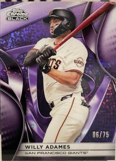 Willy Adames