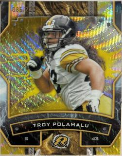 Troy Polamalu