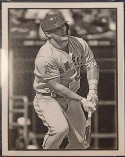 Mike Trout
