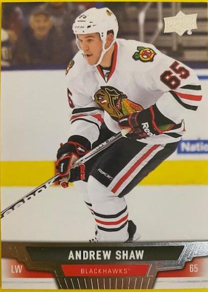 Andrew Shaw #114 Hockey Cards 2013 Upper Deck